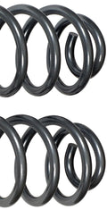 HEAVY DUTY COIL SPRING UPGRADE