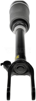 AIR STRUT