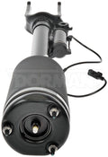 AIR STRUT