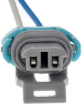 PIGTAIL OR SOCKET