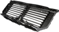 ACTIVE GRILLE SHTR