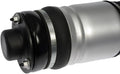 AIR SUSPENSION STRUT '16 GR. CHEROK