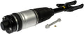 AIR SUSPENSION STRUT '16 GR. CHEROK