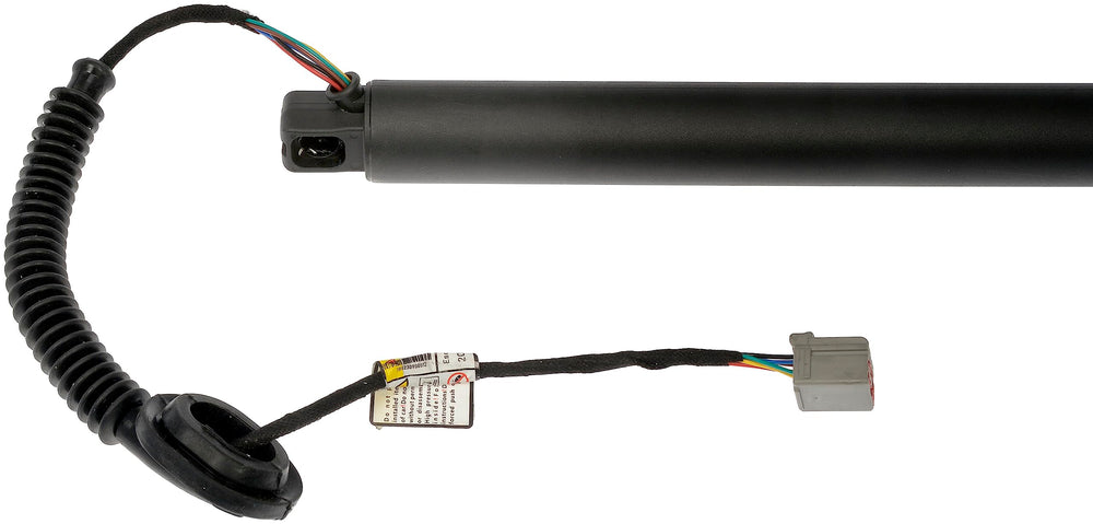 TRUNK/LIFTGATE MOTOR