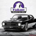 KIT CONTAINS A RING AND PINION SET,