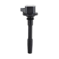 COIL,BLACK,FORDSUPERCHARGED 5.2LV8,SINGL