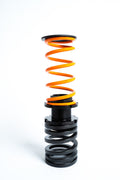 HKS Hipermax R FK8 Rear Full Set