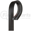 Gates HC50 1 1/8in x 31 1/2in (2 Strands)