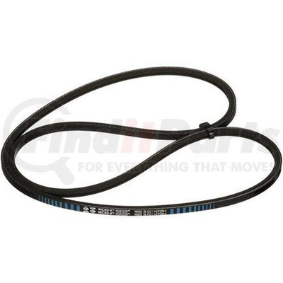 Gates J02 3/16in x 31 7/8in