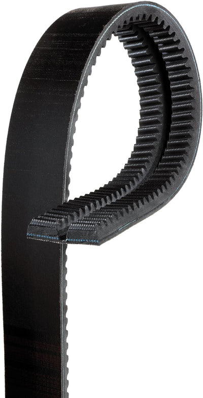 Gates VA 1 13/16in x 41in (2 Strands)