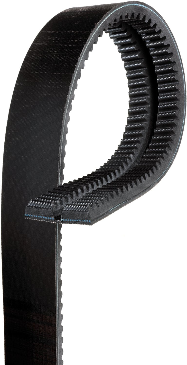 Gates VA 1 13/16in x 49in (2 Strands)