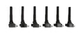 Ignition Coil 2017-2020 Ford Ecoboost 3.5L Engines, Black, 6-Pack An Economical, Direct Replacement Coil For Your Ecoboost From The Ignition Experts At ACCEL ACCEL