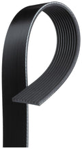 Gates 2023 Dodge Challenger V-8 6.2L Serpentine Standard V-Ribbed Belt