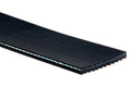 Gates K12 1 21/32in x 79in