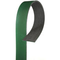 Gates 05-07 Peterbilt 379 Cummins ISX Diesel Fan & Alt. Heavy Duty V-Ribbed Belt
