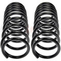 COIL SPRINGS