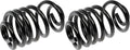 COIL SPRINGS