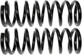 COIL SPRINGS