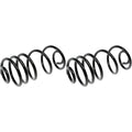 COIL SPRINGS