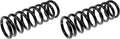 COIL SPRINGS