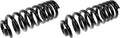 COIL SPRINGS