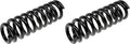 COIL SPRINGS