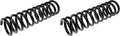 COIL SPRINGS