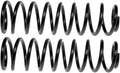 COIL SPRINGS