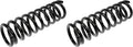 COIL SPRINGS