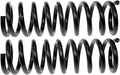 COIL SPRINGS