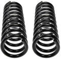 COIL SPRINGS