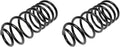 COIL SPRINGS
