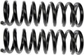 COIL SPRINGS