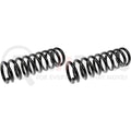 COIL SPRINGS