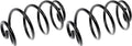 COIL SPRINGS