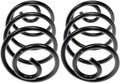 COIL SPRINGS
