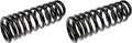 COIL SPRINGS