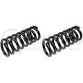COIL SPRINGS