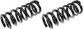 COIL SPRINGS