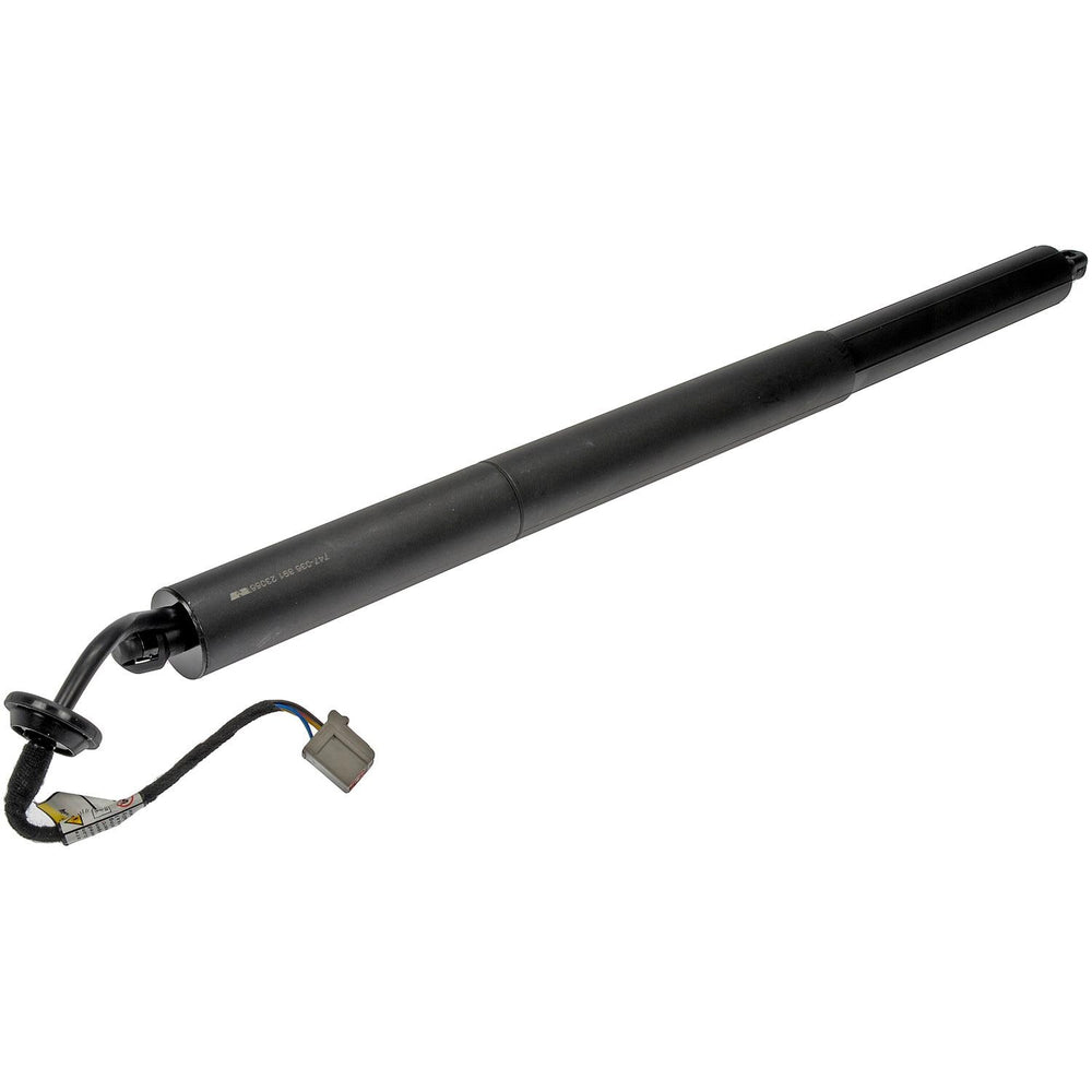 TRUNK/LIFTGATE MOTOR