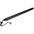 TRUNK/LIFTGATE MOTOR