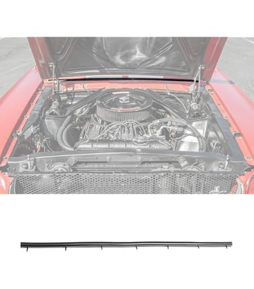 65-66 ECONOMY 8 W/STRIP CP CON