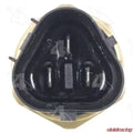 TEMPERATURE SWITCH