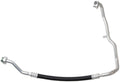 HOSE ASSEMBLY