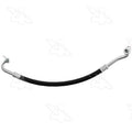 HOSE ASSEMBLY