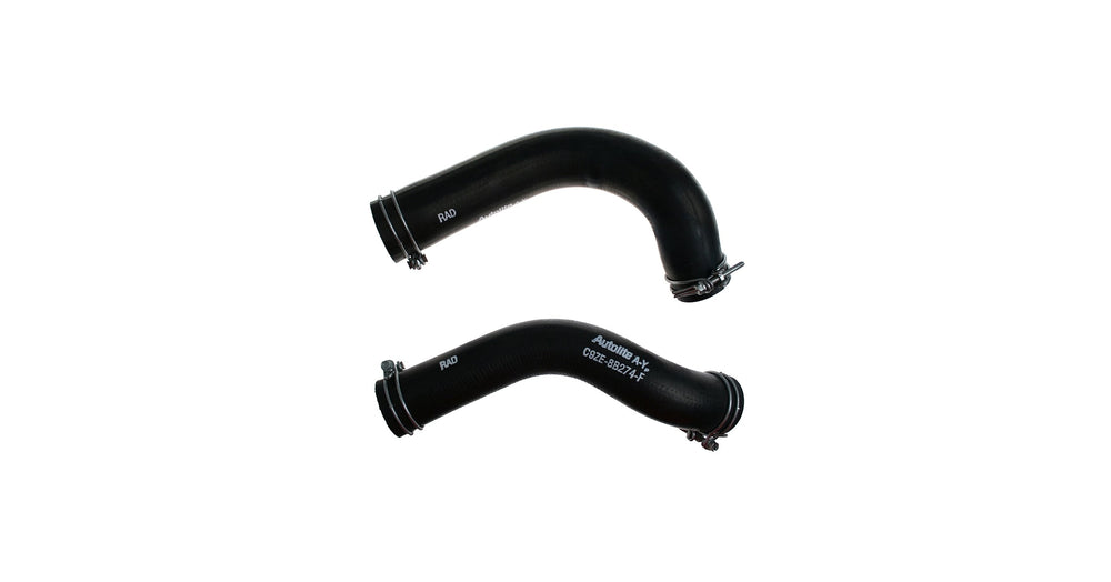69 302-351W 20" RAD HOSE