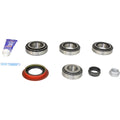 DIFFERENTIAL REBUILD KIT