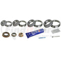 DIFFERENTIAL REBUILD KIT