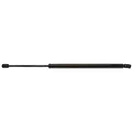 LIFTGATE LIFT SUPPORT