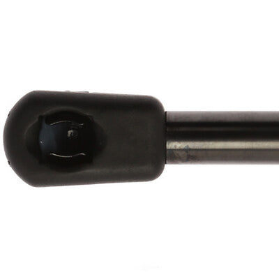 LIFTGATE LIFT SUPPORT
